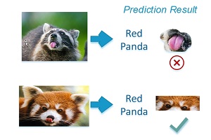 Image Classification